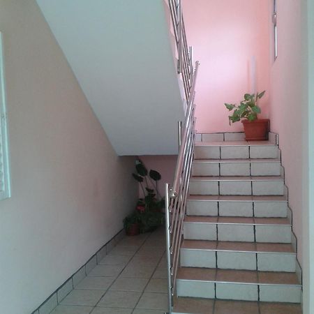 Villa Surac Murvica  Bagian luar foto